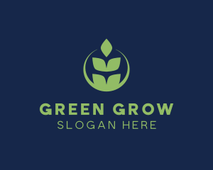 Organic Green Wheat logo design