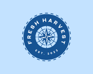 Nautical Navigation Compass logo design