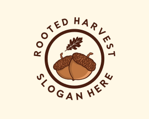 Organic Acorn Nut logo design