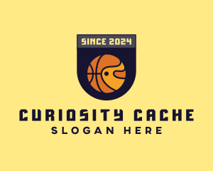 Basketball Sports Banner logo design