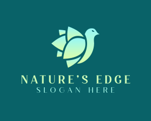 Nature Leaf Bird logo design