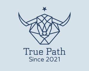 Star Taurus Bull logo design