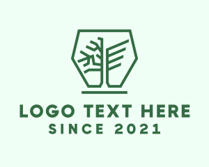 Hexagon Winged Tree logo