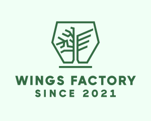 Hexagon Winged Tree logo