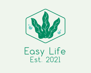 Green Ocean Seaweed logo design