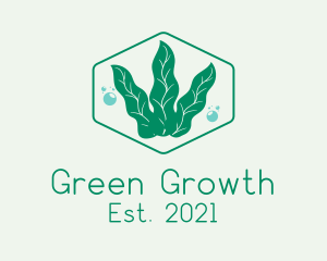 Green Ocean Seaweed logo design