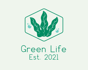 Green Ocean Seaweed logo design