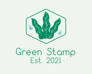 Green Ocean Seaweed logo design