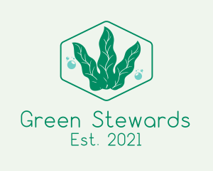 Green Ocean Seaweed logo design