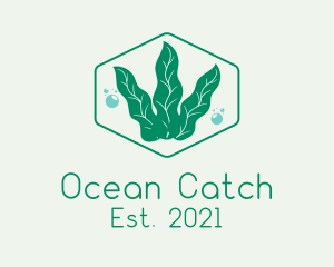 Green Ocean Seaweed logo design