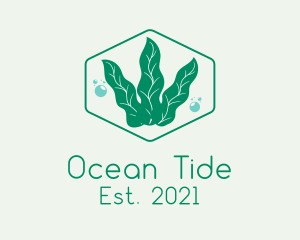 Green Ocean Seaweed logo design