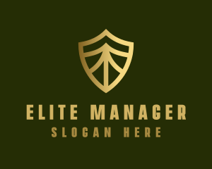 Elegant Security Shield logo design