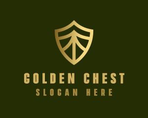 Elegant Security Shield logo design