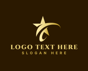 Premium Stylish Star  logo design