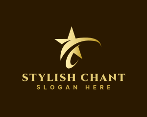 Premium Stylish Star  logo design