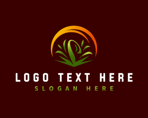 Organic Lawn Grass logo