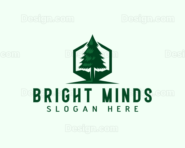 Pine Tree Forest Logo