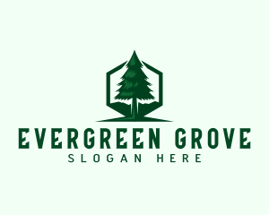 Pine Tree Forest logo design