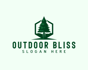 Pine Tree Forest logo design