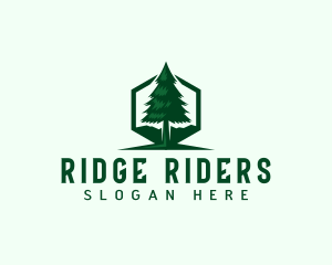 Pine Tree Forest logo design