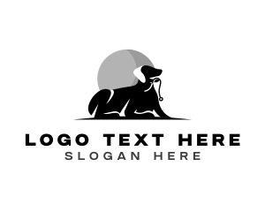 Dog Leash Training logo