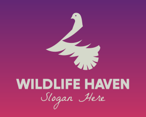 Dove Wildlife Veterinary  logo