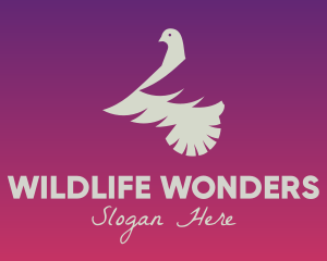 Dove Wildlife Veterinary  logo