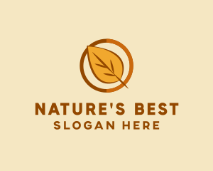 Natural Autumn Leaf logo design