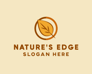 Natural Autumn Leaf logo design