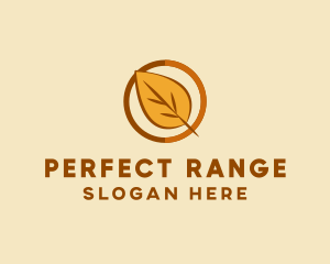 Natural Autumn Leaf logo design