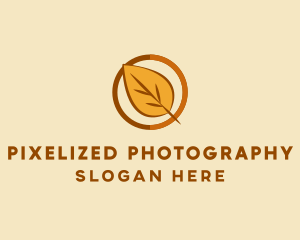 Natural Autumn Leaf logo design