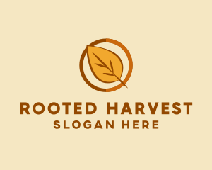 Natural Autumn Leaf logo design