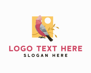 Wild Cockatoo Bird logo design