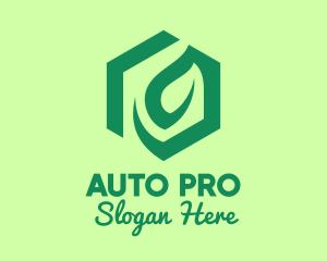 Green Environmental Hexagon Logo