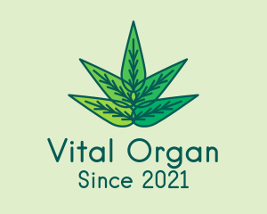 Organic Natural Leaves  logo design