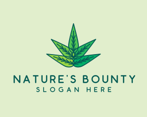 Organic Natural Leaves  logo design