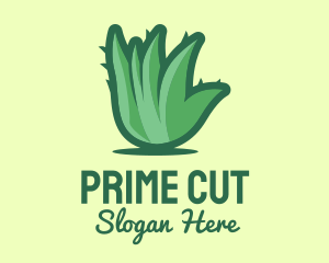 Aloe Vera Plant  Logo