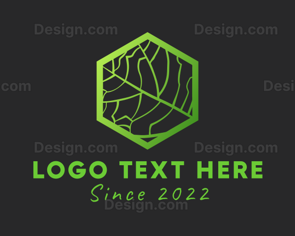 Hexagon Leaf Veins Logo