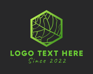 Hexagon Leaf Veins logo