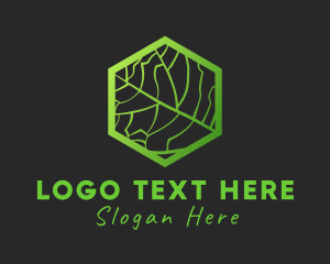 Hexagon Leaf Veins Logo