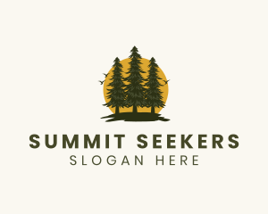 Tree Forest Sunrise logo