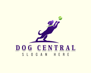 Kennel Dog Training logo design