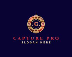 Premium Decorative Shield logo design