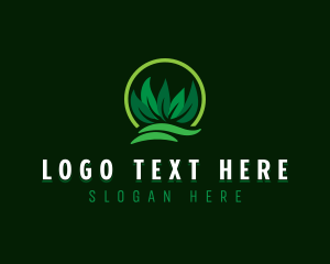 Lawn Grass Leaves logo