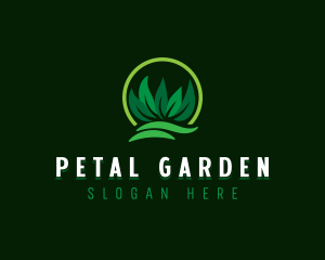 Lawn Grass Leaves logo design