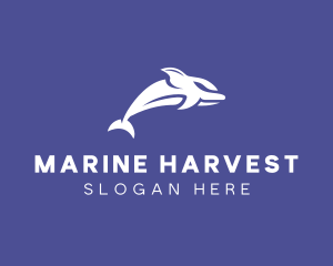 Aquatic Ocean Dolphin logo design