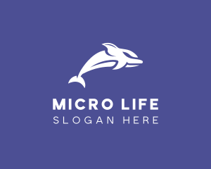 Aquatic Ocean Dolphin logo design