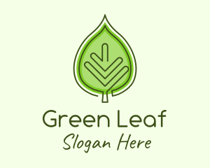 Green Ecology Leaf logo design