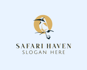 Bird Wildlife Safari logo design