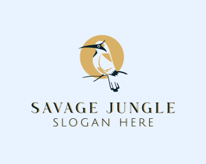 Bird Wildlife Safari logo design